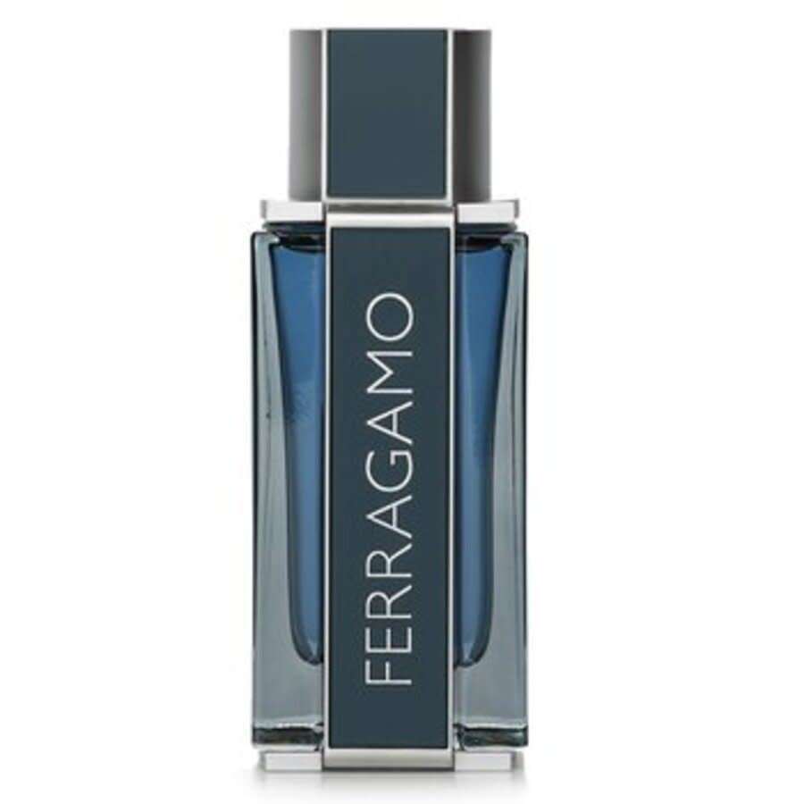 Ferragamo Salvatore Intense Leather