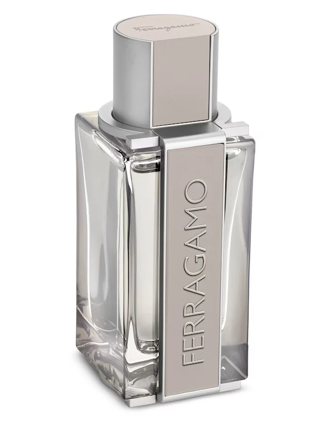 Ferragamo Salvatore Salvatore Bright Leather